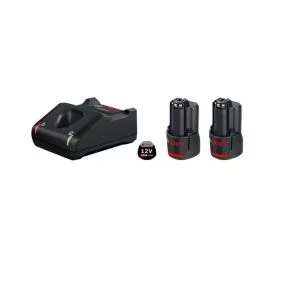 2 x GBA 12V 2.0Ah + GAL 12V-40 Professional - acumulatori şi încărcător rapid