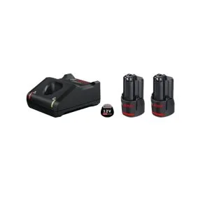 2 x GBA 12V 3.0 Ah + GAL 12V-40 PRO Professional