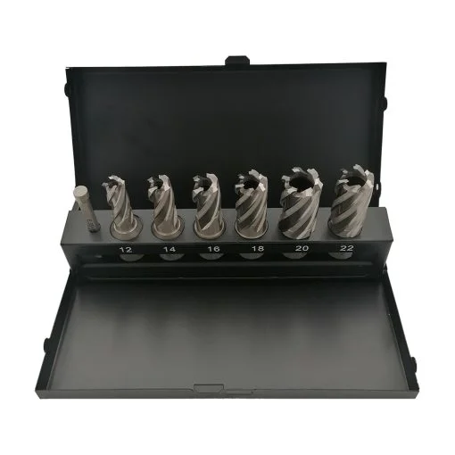SET CAROTE HSS CU PRINDERE WELDON SI PIN CENTRARE - 7 PIESE