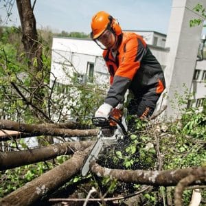 Motoferăstrău benzină MS 261, 40cm/16", 26RS, Stihl