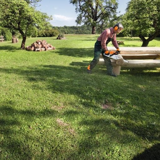 Motoferăstrău benzină MS 231 C-BE, 35cm/14", 63PM3, Stihl