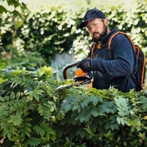 Foarfeca gard viu cu acumulator HSA 94 R, Stihl