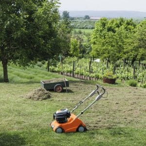 Scarificator pentru gazon pe benzină RL 540.0, Stihl