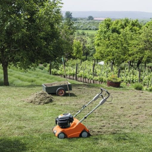 Scarificator pentru gazon pe benzină RL 540.0, Stihl