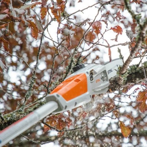 Emondor cu acumulator, HTA 50.0 1/4"P set, Stihl