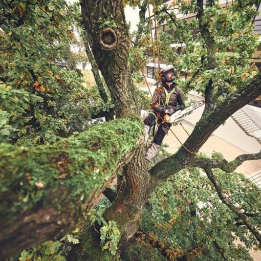 Motoferastrau cu acumulator MSA 220.1 TC-O, Stihl