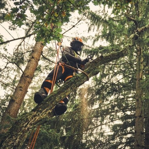 Motoferastrau cu acumulator MSA 220.1 TC-O, Stihl