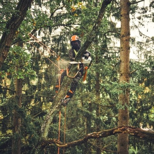 Motoferastrau cu acumulator MSA 220.1 TC-O, Stihl