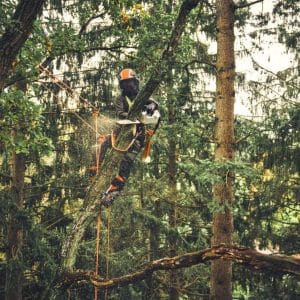 Motoferastrau cu acumulator MSA 220.1 T, 35cm/14", Stihl