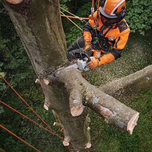 Motoferastrau cu acumulator MSA 220.0 TC-O, Stihl